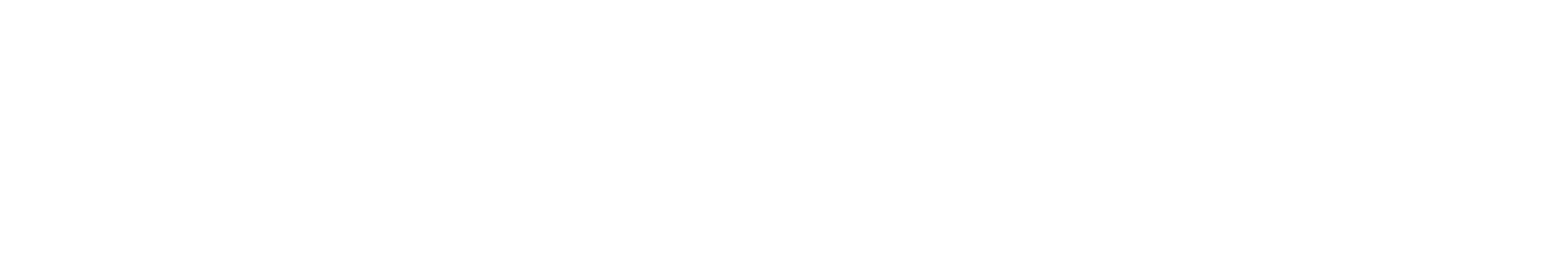 A.L. Loran Intl LLC